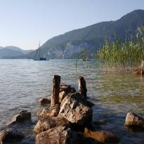 Sommer am Wolfgangsee_21